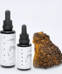 Chaga Mushroom Tincture – Inonotus Obliquus Extract | KÄÄPÄ Health