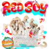 Red Boy Mushroom