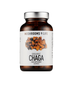 Chaga (Inonotus Obliquus) Mushroom Capsules | Mushrooms4life