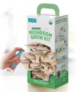 Short Dated Magic Mushroom Grow Kit