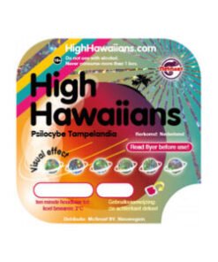 High Hawaiians Magic Truffles