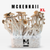 Magic Mushroom Grow Kit McKennaii XL