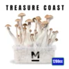 treasure coast mushrooms | Treasure Coast Mushroom