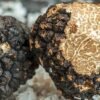 buy truffles online