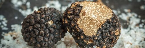 buy truffles online