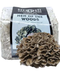 hen of the woods price