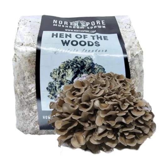 hen of the woods price